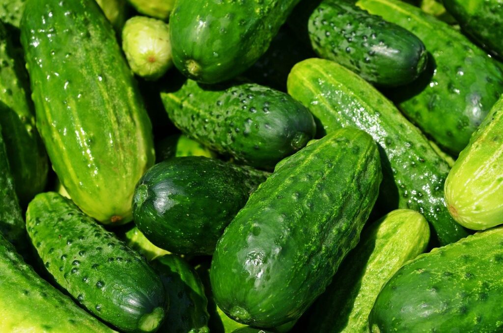 cucumbers, vegetables, green-849269.jpg